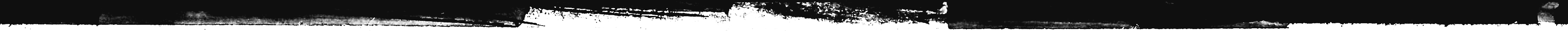 banner-top-border