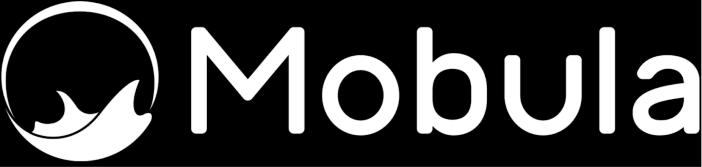 Stellar-Data-Engine-by-Mobula