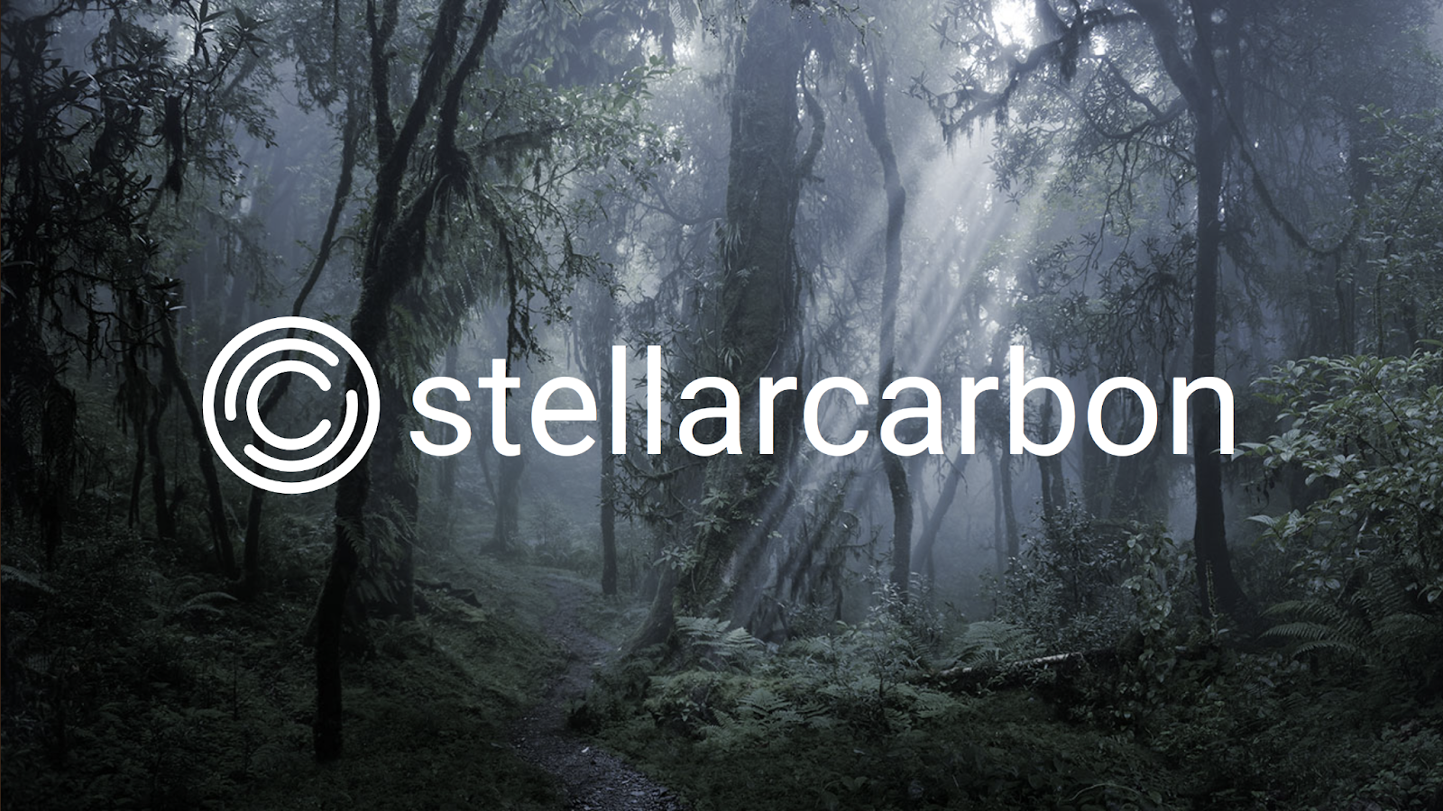 Stellarcarbon-Launch